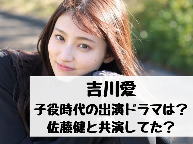 佐藤健 出演 ドラマ