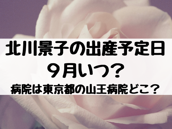 北川景子の出産予定日９月いつ 病院は東京都の山王病院ってどこ 映画ドラマ館